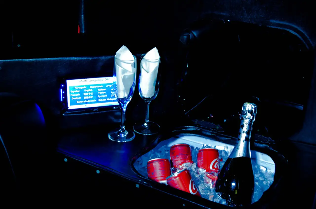 24-Passenger Party Bus Interior